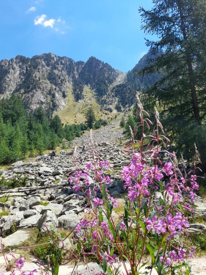 Bed and Breakfast Stella Alpina Rimplas Zewnętrze zdjęcie